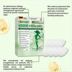 Plastry MORINGA z berberyną i mikro-NAD+